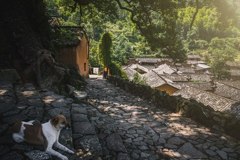 Dorf Yangjiatang